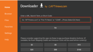 Launch the program Downloader